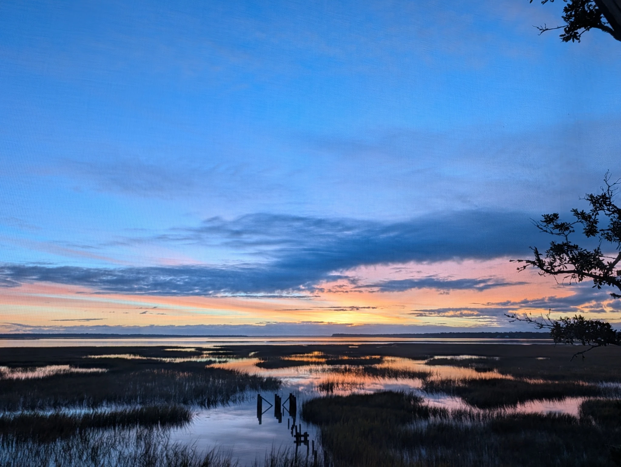 Deep blue sky and a warm horizon reflected in marsh water. Photograph by Zachary Lund.