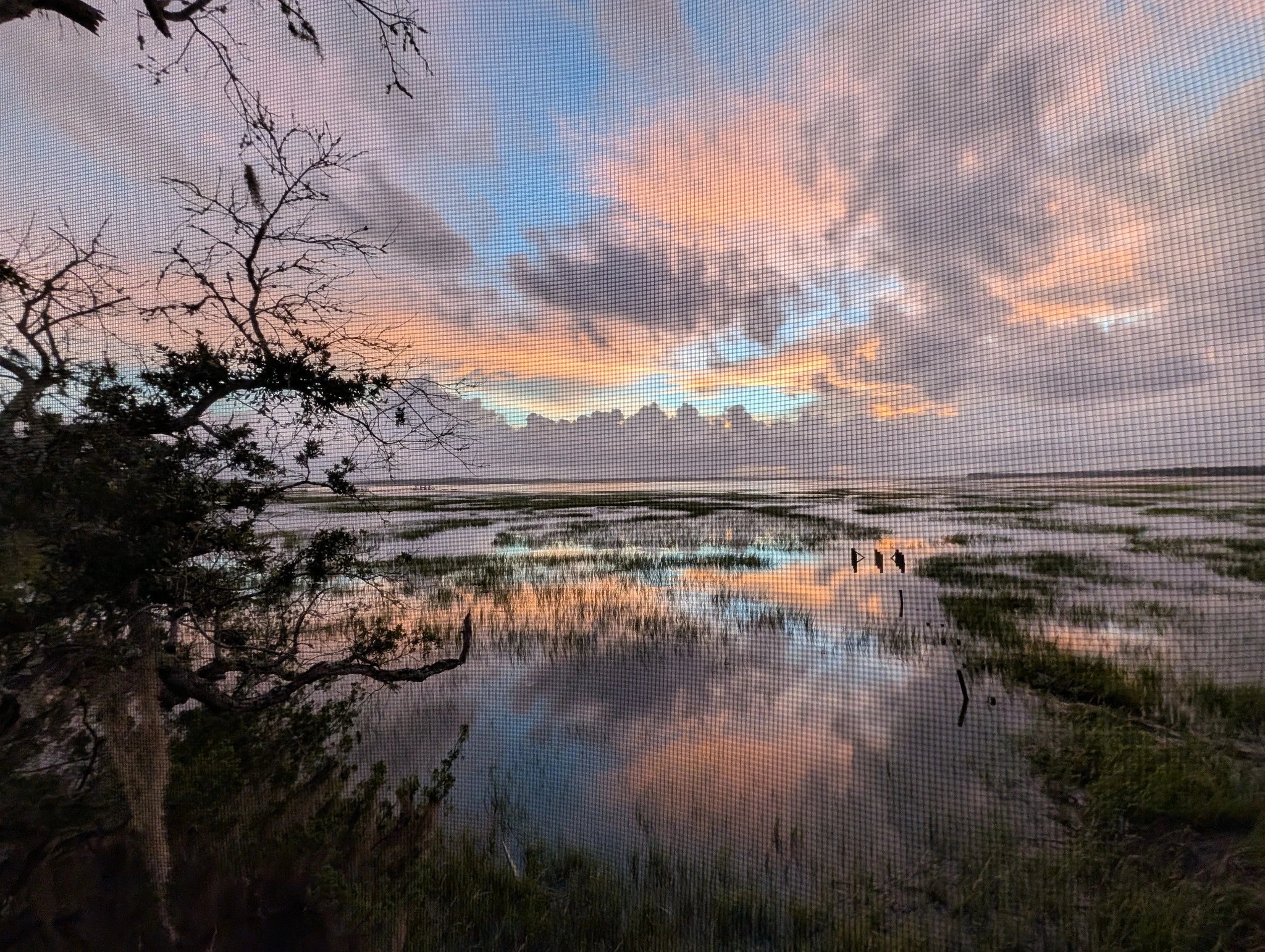 Peach and lavender light over a flooded marsh, framed by trees. Photograph by Zachary Lund.